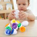 Uova sensoriali Montessori | Giocattolo di abbinamento forme e colori
